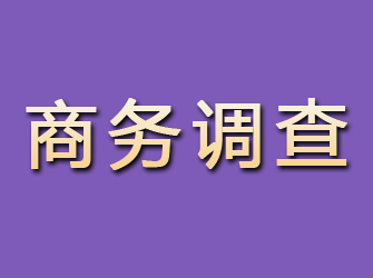 南平找私家调查调查行踪要多少钱？全面了解费用结构与影响因素